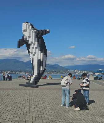 about to take a photo with the dolphin