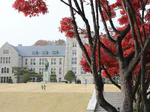 Four AIML@K Students Serve as TAs for Korea University’s First University-wide Data Science and Artificial Intelligence Course