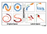 Emergent Linear Separability of Unseen Data Points in High-dimensional Last-Layer Feature Space